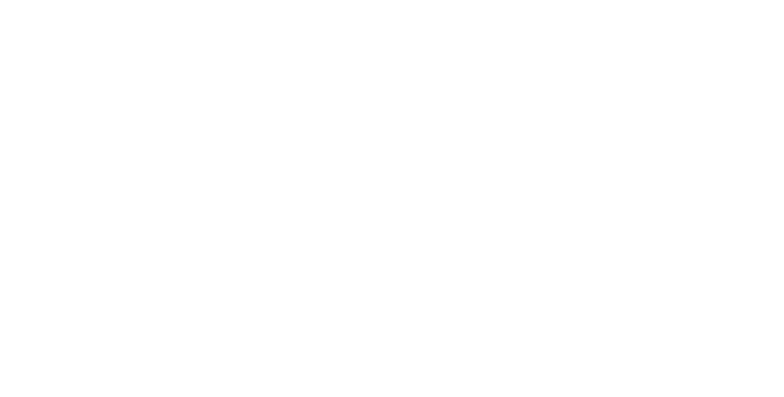Lourdes Taxis Services : Taxis en ville de Lourdes (65100), transferts gares et aéroports tarbes, pau